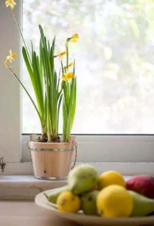 At Trendy Glyfada'S Center Apartman Athén Kültér fotó